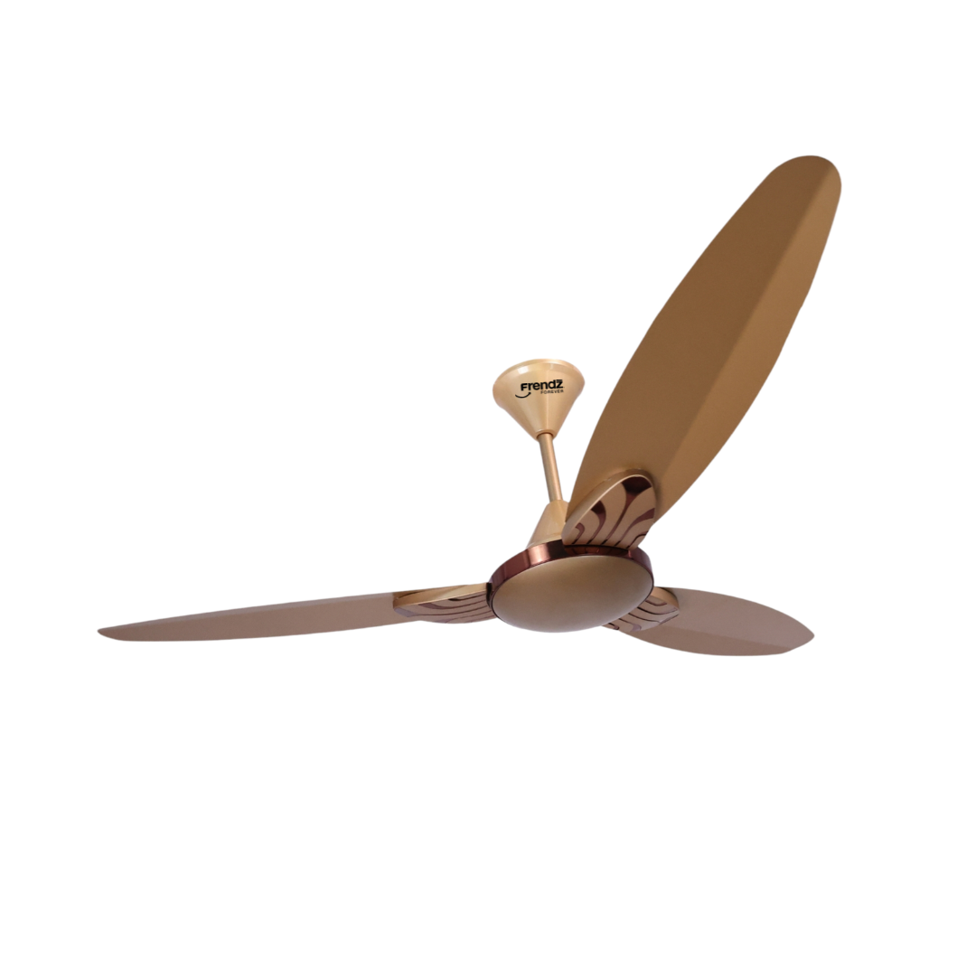 Crown 48 Golden Fan